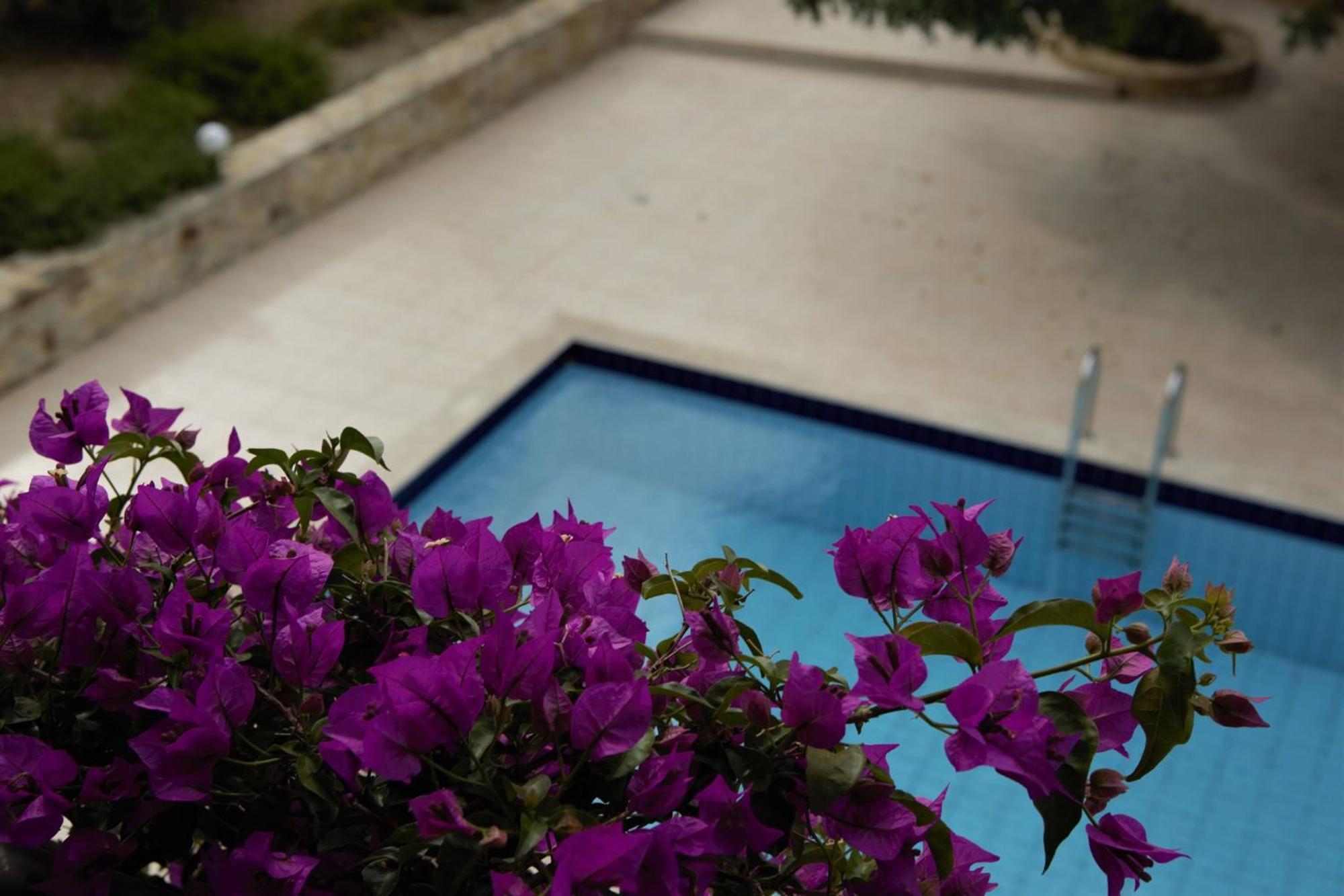 Douliana Villas Bagian luar foto